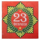 Полотенце "23 февраля" 30 х 30 см, 200 гр/м2 - фото 321969773