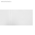 Альбом для рисования Hatber «Ассорти» А4, 48 листов, на скрепке, плотность листов 100 г/м², обложка из мелованного картона, МИКС - Фото 5