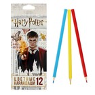 Карандаши цветные 12 цветов "Гарри Поттер", заточенные, картонная коробка, европодвес - фото 8989083