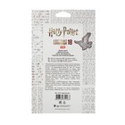 Карандаши цветные 18 цветов "Гарри Поттер", заточенные, картонная коробка, европодвес - Фото 2