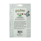 Карандаши цветные 18 цветов "Гарри Поттер", заточенные, картонная коробка, европодвес - фото 6295273