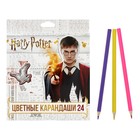 Карандаши цветные 24 цвета "Гарри Поттер", заточенные, картонная коробка, европодвес - фото 7497680