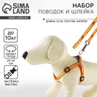 Поводок «Любимчик» 120×1 см, шлейка 24-34 см - Фото 1