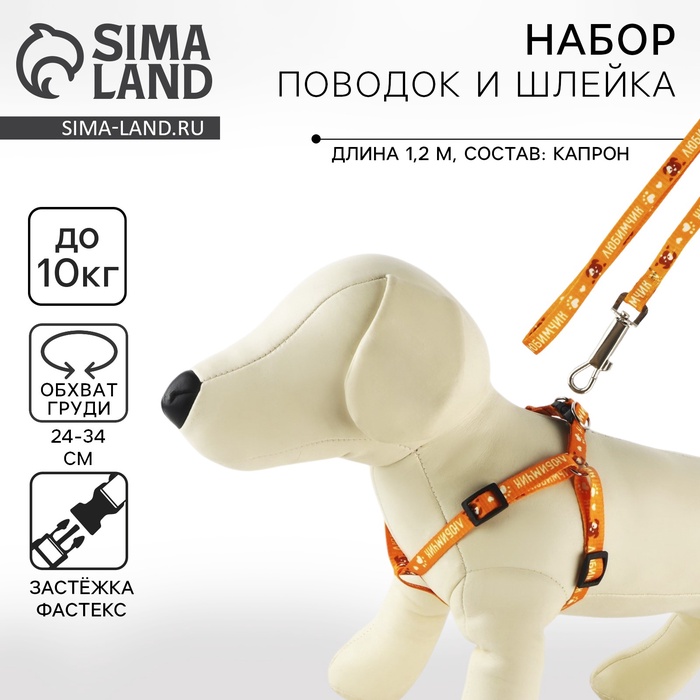Поводок «Любимчик» 120×1 см, шлейка 24-34 см - Фото 1