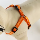 Поводок «Любимчик» 120×1 см, шлейка 24-34 см - Фото 3