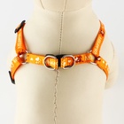 Поводок «Любимчик» 120×1 см, шлейка 24-34 см - Фото 4