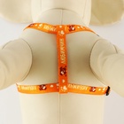 Поводок «Любимчик» 120×1 см, шлейка 24-34 см - Фото 5