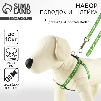 Поводок «Пора гулять» 120×1 см, шлейка 24-34 см