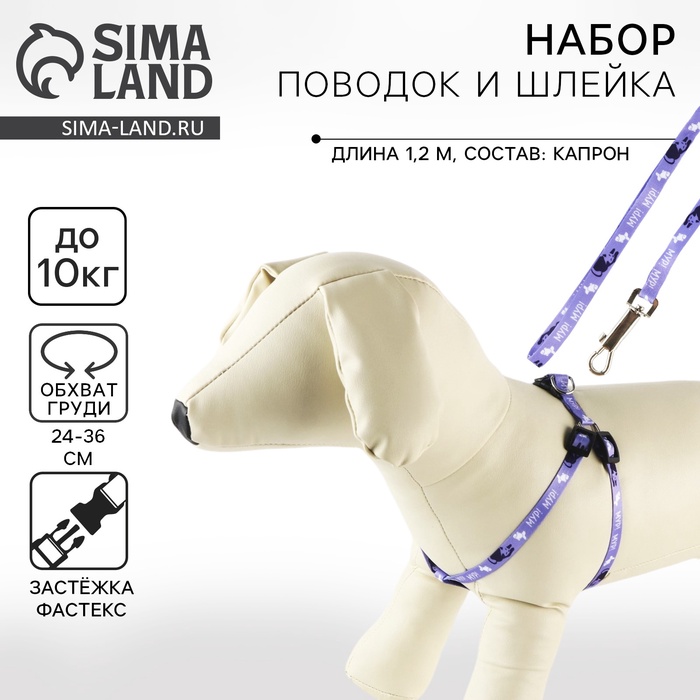 Поводок «Мур! Мур!» 120 см, шлейка 24-34×1 см - Фото 1