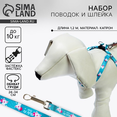 Поводок «Хочу на ручки» 120 см, шлейка 24-34×1 см