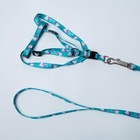 Поводок «Хочу на ручки» 120 см, шлейка 24-34×1 см - Фото 3