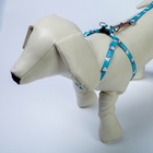 Поводок «Хочу на ручки» 120 см, шлейка 24-34×1 см - Фото 4