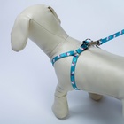 Поводок «Хочу на ручки» 120 см, шлейка 24-34×1 см - Фото 5