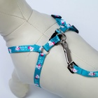 Поводок «Хочу на ручки» 120 см, шлейка 24-34×1 см - Фото 6