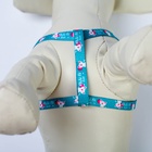 Поводок «Хочу на ручки» 120 см, шлейка 24-34×1 см - Фото 7