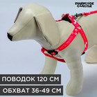 Комплект «Куда ты, туда я», шлейка 36-49 см, поводок 120х1.5 см - Фото 1