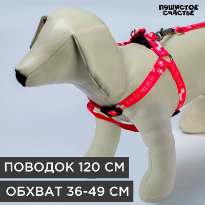 Комплект «Куда ты, туда я», шлейка 36-49 см, поводок 120х1.5 см