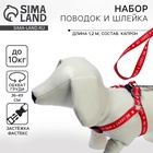Поводок Keep calm & carry on 120×1.5 см, шлейка 36-49 см - Фото 1