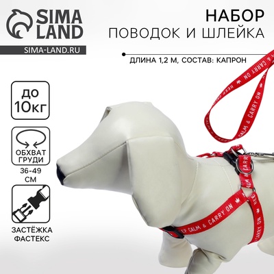 Поводок Keep calm & carry on 120×1.5 см, шлейка 36-49 см