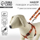 Комплект «Собака», шлейка 36-49 см, поводок 120х1.5 см - Фото 1