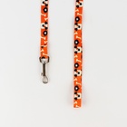 Комплект «Собака», шлейка 36-49 см, поводок 120х1.5 см - фото 23721358