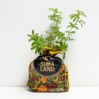 Саженец Курильский чай (горшок р9) Золотой полет, 1 шт, Осень 2025 - Фото 2