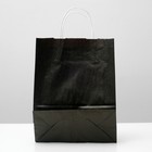 Пакет крафт черный, белая ручка22 х 13 х 32 см 5005869