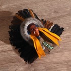 Маска "Индеец Ахига" 15х6х20 см, МИКС 4579148 - фото 16479293