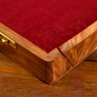 УЦЕНКА Шахматы раскладные, 40×40×6.5 см - Фото 4