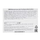 Тканевая маска для лица с экстрактом ягод асаи MIZON Joyful Time Essence Mask Acai Berry, 23 г - Фото 2