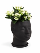 Кашпо-органайзер "Голова", 3 л/ 24х19см, черное - фото 809214424