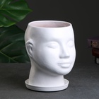 Горшок-органайзер «Голова», керамика, белое, 3 л, 21×19 см  (артикул 4996129)  большой выбор товаров оптом и в розницу по низким ценам с доставкой