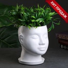 Горшок-органайзер «Голова», керамика, белое, 3 л, 21×19 см  (артикул 4996129)  большой выбор товаров оптом и в розницу по низким ценам с доставкой