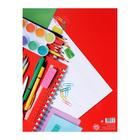 Папка школьная на кольцах «Портфолио школьника», 10 листов-разделителей, 24.5×32 см. - Фото 18