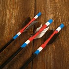 Сувенирный набор "Лук и 3 стрелы" 75х12х5 см - Фото 6