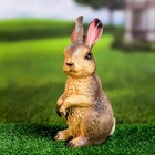 Садовая фигура из гипса «Заяц лесной», 12×10×20 см - Фото 7