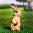 Садовая фигура из гипса «Заяц лесной», 12×10×20 см - Фото 8