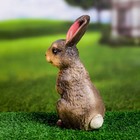 Садовая фигура из гипса «Заяц лесной», 12×10×20 см - Фото 9