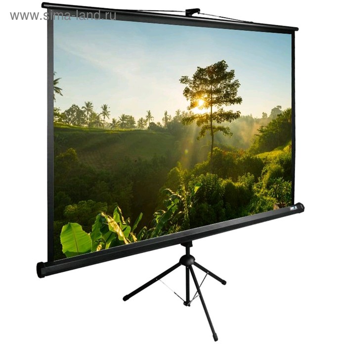 Экран Cactus 200x200см TriExpert CS-PSTE-200x200-BK 1:1 напольный рулонный черный - Фото 1