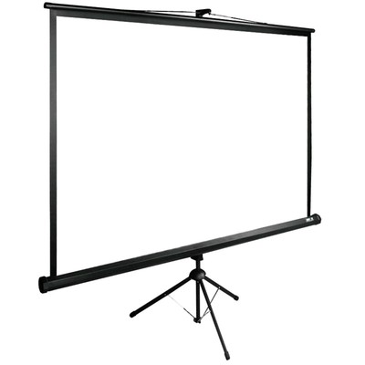 Экран Cactus TriExpert CS-PSTE-200×200-BK, 200×200 см, 1:1, напольный, рулонный, черный