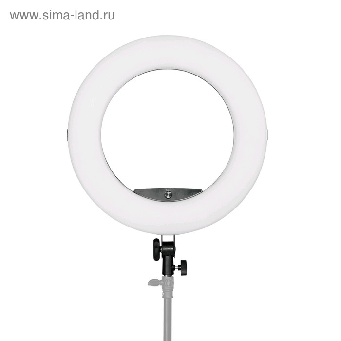 Осветитель кольцевой BeautyLight 480 LED 1186500₽