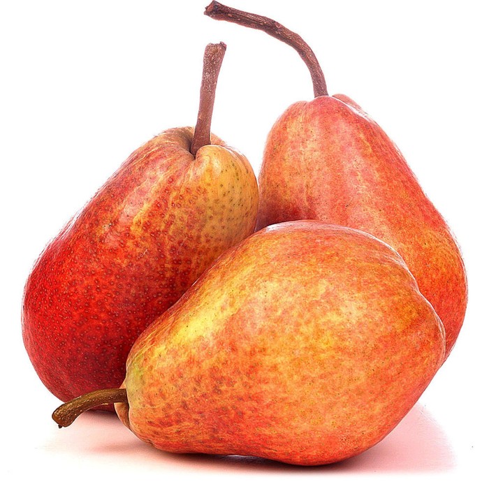 Red varieties of pears - photo, name and description A site about a garden, a su