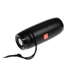 УЦЕНКА Портативная колонка SK1012BK, microSD/USB, Bluetooth 5.0, 10 Вт, 1200 мАч, чёрная - Фото 1