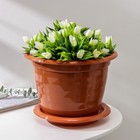 Горшок для цветов с поддоном «Виола», 5 л, пластиковый, коричневый - Фото 1