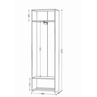 Шкаф прямой двухстворчатый «Ольга–Лофт–3», 600×350×2000 мм, цвет дуб крафт золотой/тёмно–серый/чёрный - Фото 2