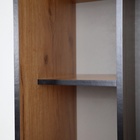 Шкаф – купе «Ольга–Лофт–10», с зеркалом, 832×460×2000 мм, цвет дуб крафт золотой/тёмно–серый/чёрный - Фото 6