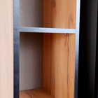 Шкаф – купе «Ольга–Лофт–10», без зеркала, 832×460×2000 мм, цвет дуб крафт золотой/тёмно–серый/чёрный - Фото 4