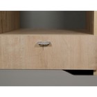 Пенал для детской «Хаски - 41», 450×450×2050 мм, цвет ирландский дуб/белый/мокко 5036329