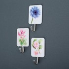 Крючок на липучке «Цветочек», 3 шт, цвет МИКС - Фото 2