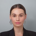 Серьги металл "Атмосфера" круглая сетка, цвет серебро - фото 25630904